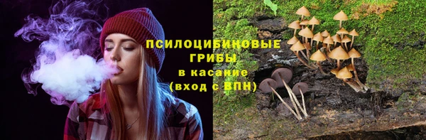 прущая мука Новозыбков