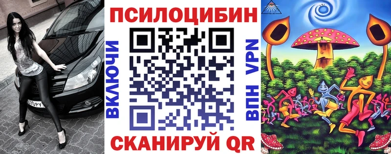 Псилоцибиновые грибы Psilocybe купить наркотики цена Сольцы
