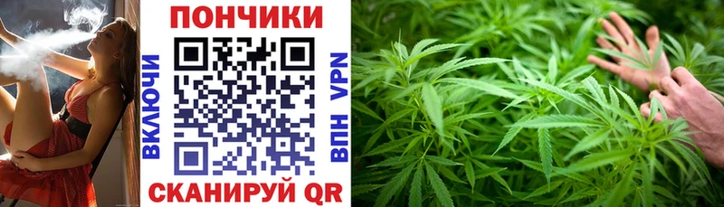 Марихуана гибрид  OMG зеркало  Сольцы 